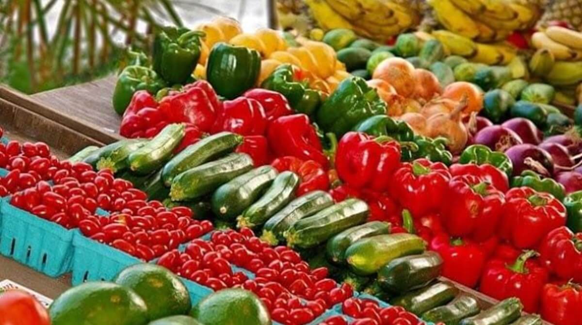 Francia endurece los controles fitosanitarios en importaciones agrícolas (1).jpg